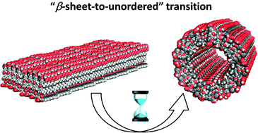 Graphical abstract: Self-assembly pathway of peptide nanotubes formed by a glutamatic acid-based bolaamphiphile