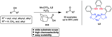 Graphical abstract: Highly efficient oxidation of alcohols catalyzed by a porphyrin-inspired manganese complex