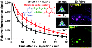 Graphical abstract: The synthesis and evaluation of near-infrared probes with barbituric acid acceptors for in vivo detection of amyloid plaques