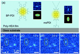 Graphical abstract: Restricted diffusion of guest molecules in polymer thin films on solid substrates as revealed by three-dimensional single-molecule tracking