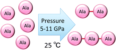 Graphical abstract: Pressure-induced oligomerization of alanine at 25 °C