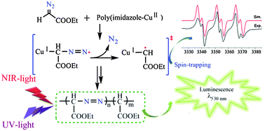 Graphical abstract: The interception of a copper-based carbene radical with an α-carbonyl diazomethane radical: C1/C1N2 copolymerization