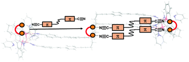 Graphical abstract: Supramolecular metallacycles with a ‘pseudo double-paracyclophane’ structure based on flexible π-conjugated linkers