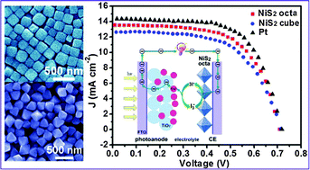 Graphical abstract: Facet-dependent NiS2 polyhedrons on counter electrodes for dye-sensitized solar cells