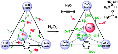 Graphical abstract: Room-temperature acetylene hydration by a Hg(ii)-laced metal–organic framework