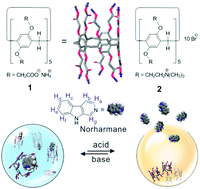 Graphical abstract: Supramolecular hydrophobic guest transport system based on pillar[5]arene