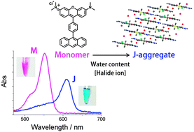 Graphical abstract: The unprecedented J-aggregate formation of rhodamine moieties induced by 9-phenylanthracenyl substitution