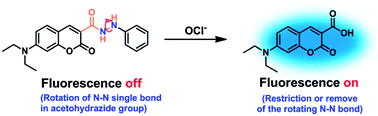 Graphical abstract: A fluorescent probe for hypochlorite based on the modulation of the unique rotation of the N–N single bond in acetohydrazide