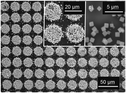 Graphical abstract: Selective growth of MFU-4l single crystals on microstructured plasma polymer coatings
