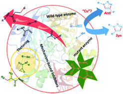 Graphical abstract: New insights into the kinetic target-guided synthesis of protein ligands