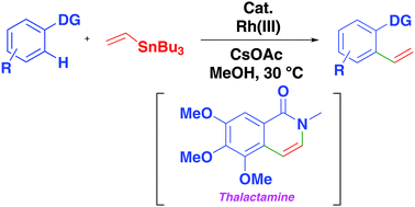 Graphical abstract: Rh-catalyzed oxidizing group-directed ortho C–H vinylation of arenes by vinylstannanes