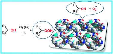 Graphical abstract: Understanding of the low temperature auto-oxidation scheme of sec-alcohols based on a Cu(ii)-MOF with open metal sites