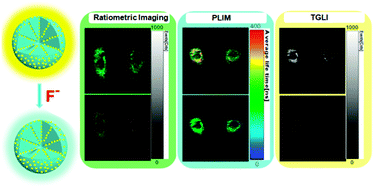 Graphical abstract: Reaction-based phosphorescent nanosensor for ratiometric and time-resolved luminescence imaging of fluoride in live cells