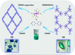 Graphical abstract: Exploiting dimensional variability in coordination polymers: solvent promotes reversible conversion between 3D and chiral 1D architectures