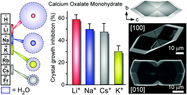 Graphical abstract: Identifying alkali metal inhibitors of crystal growth: a selection criterion based on ion pair hydration energy