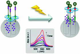 Graphical abstract: Light-responsive peptide [2]rotaxanes as gatekeepers of mechanised nanocontainers