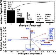 Graphical abstract: Gene delivery polymer structure–function relationships elucidated via principal component analysis