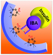 Graphical abstract: Mesoporous materials modified by aptamers and hydrophobic groups assist ultra-sensitive insulin detection in serum