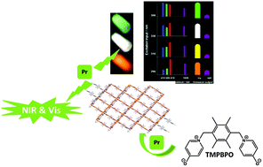 Graphical abstract: Direct white-light and a dual-channel barcode module from Pr(iii)-MOF crystals