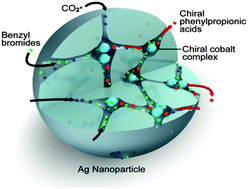 Graphical abstract: Entrapment of a chiral cobalt complex within silver: a novel heterogeneous catalyst for asymmetric carboxylation of benzyl bromides with CO2