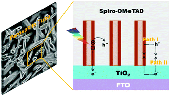 Graphical abstract: A tubular perovskite solar cell: improvement of charge separation at the perovskite/HTM interface