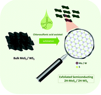 Graphical abstract: Exfoliated semiconducting pure 2H-MoS2 and 2H-WS2 assisted by chlorosulfonic acid