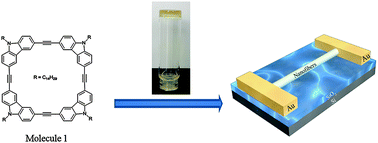 Graphical abstract: Single-bundle nanofiber based OFETs fabricated from a cyclic conjugated organogelator with high field-effect mobility and high photoresponsivity