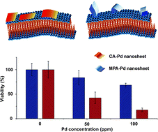 Graphical abstract: Functionalized ultrathin palladium nanosheets as patches for HepG2 cancer cells