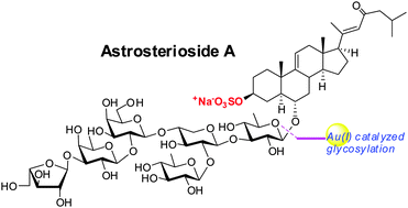 Graphical abstract: Total synthesis of astrosterioside A, an anti-inflammatory asterosaponin
