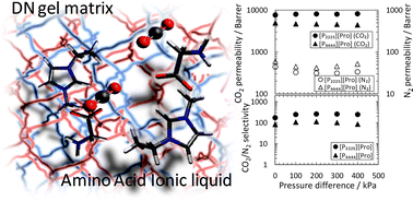 Graphical abstract: An amino acid ionic liquid-based tough ion gel membrane for CO2 capture