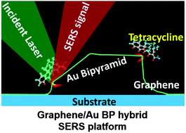 Graphical abstract: Graphene laminated gold bipyramids as sensitive detection platforms for antibiotic molecules