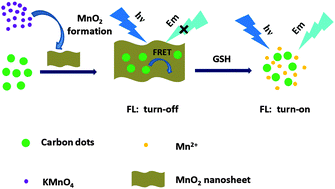 Graphical abstract: A FRET-based carbon dot–MnO2 nanosheet architecture for glutathione sensing in human whole blood samples