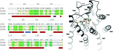 Graphical abstract: Expanding the horizons of G protein-coupled receptor structure-based ligand discovery and optimization using homology models