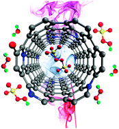 Graphical abstract: Insights into N-doping in single-walled carbon nanotubes for enhanced activation of superoxides: a mechanistic study