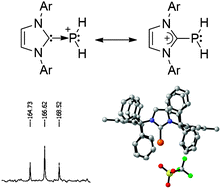 Graphical abstract: Isolation of a Lewis base stabilized parent phosphenium (PH2+) and related species