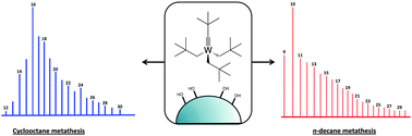 Graphical abstract: Simple addition of silica to an alkane solution of a Wilkinson WMe6 or Schrock W alkylidyne complex gives an active complex for saturated and unsaturated hydrocarbon metathesis