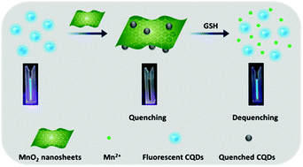 Graphical abstract: A sensitive turn-on fluorescent probe for intracellular imaging of glutathione using single-layer MnO2 nanosheet-quenched fluorescent carbon quantum dots