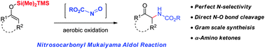 Graphical abstract: The Mukaiyama aldol reaction of in situ generated nitrosocarbonyl compounds: selective C–N bond formation and N–O bond cleavage in one-pot for α-amination of ketones