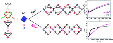 Graphical abstract: Divalent metal ions modulated strong frustrated M(ii)–Fe(iii)3O (M = Fe, Mn, Mg) chains with metamagnetism only in a mixed valence iron complex