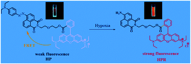Graphical abstract: A turn-on fluorescent probe for tumor hypoxia imaging in living cells