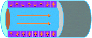 Graphical abstract: Magnetic anisotropy of iron-based metallic glassy fibers