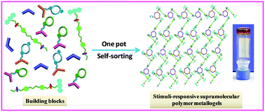Graphical abstract: Cross-linked supramolecular polymer metallogels constructed via a self-sorting strategy and their multiple stimulus-response behaviors
