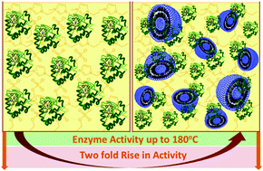 Graphical abstract: Unusually high thermal stability and peroxidase activity of cytochrome c in ionic liquid colloidal formulation