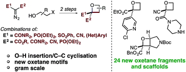 Graphical abstract: Synthesis of diversely functionalised 2,2-disubstituted oxetanes: fragment motifs in new chemical space