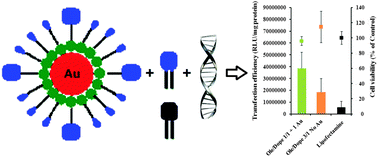 Graphical abstract: Efficient and synergetic DNA delivery with pyridinium amphiphiles–gold nanoparticle composite systems having different packing parameters