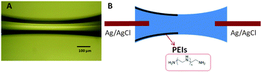 Graphical abstract: A bidirection-adjustable ionic current rectification system based on a biconical micro-channel