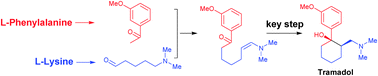 Graphical abstract: Biomimetic synthesis of Tramadol