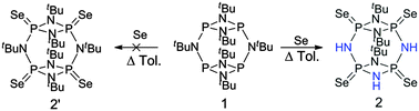 Graphical abstract: Steric C–N bond activation on the dimeric macrocycle [{P(μ-NR)}2(μ-NR)]2