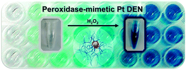 Graphical abstract: Dendrimer-encapsulated Pt nanoparticles with peroxidase-mimetic activity as biocatalytic labels for sensitive colorimetric analyses