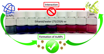 Graphical abstract: A simple, fast and highly sensitive colorimetric detection of zein in aqueous ethanol via zein–pyridine–gold interactions